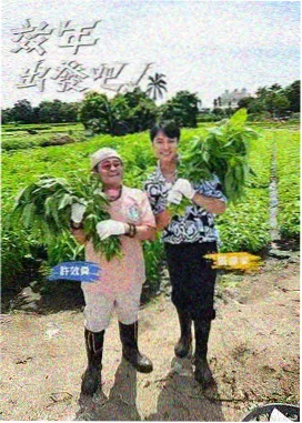 奔跑吧 2026